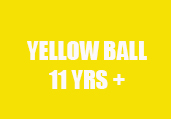 yellowballbeckweb